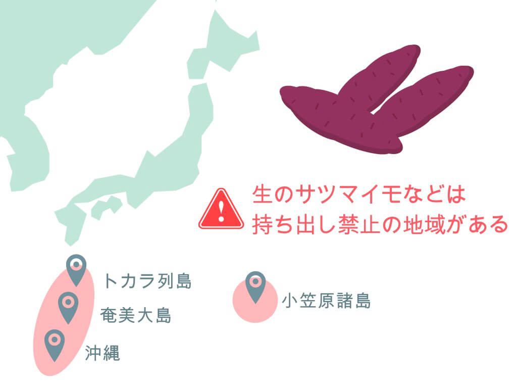 国内線 手荷物でもう悩まない 食べ物 お菓子の持ち込み 預け入れ完全ガイド ちょい住みトラベラーの世界の旅キロク