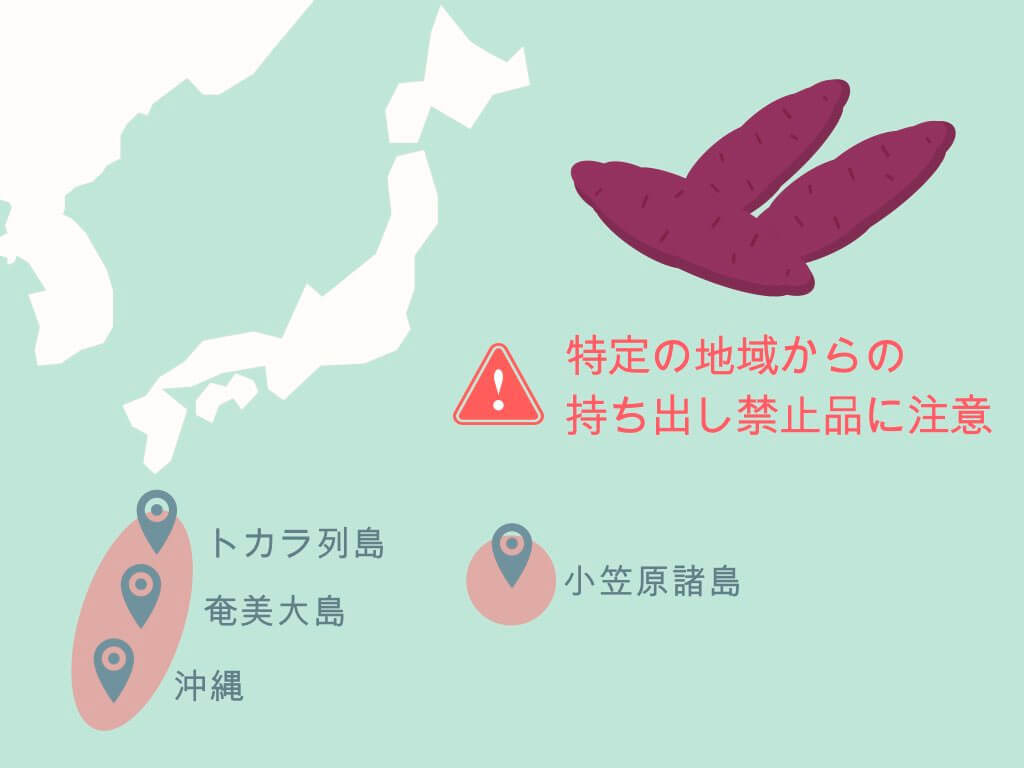 国内線 手荷物でもう悩まない 食べ物 お菓子の持ち込み 預け入れ完全ガイド ちょい住みトラベラーの世界の旅キロク